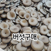 베스트 기획전/이벤트 이미지